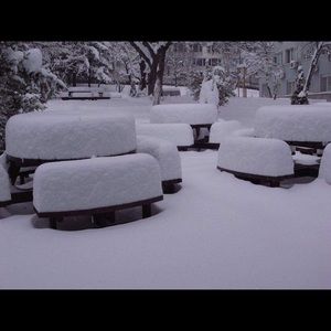 Meet your Posher, Robert